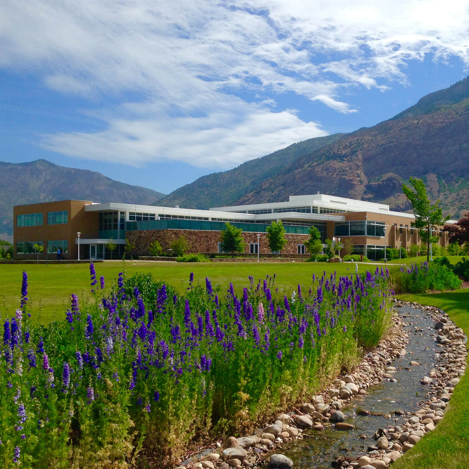 Campus Image