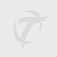 Large gray letter R on a white background