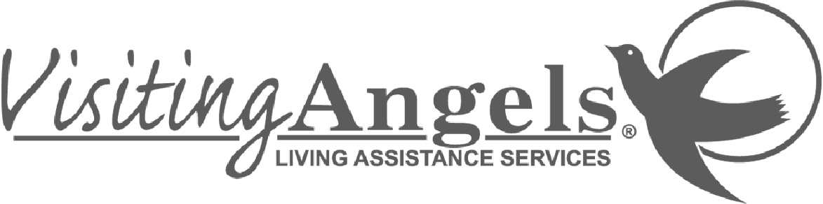 Visiting Angels Living Assistance Services